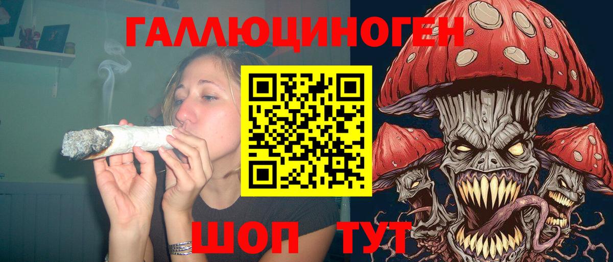 Отрадное  Галлюциногенные грибы Cubensis  Вход с VPN  Галлюциногенные грибы Cubensis 